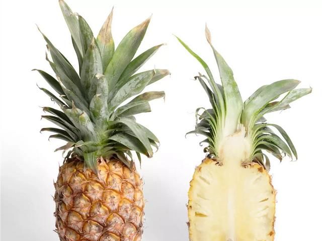 凤梨和菠萝到底有什么区别,菠萝和凤梨的营养区别图1