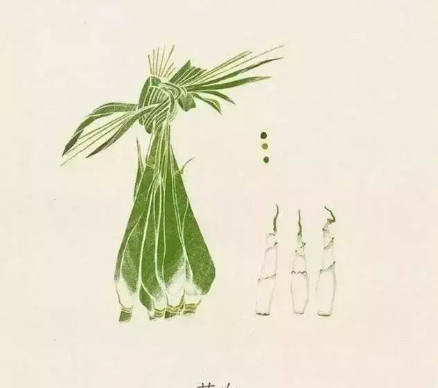 吃茭白有什么疗效,茭白怎么吃功效最大图6