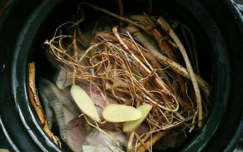 食用五指毛桃根的功效与作用