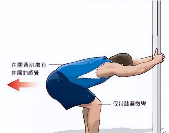 健身房，器械篇——背