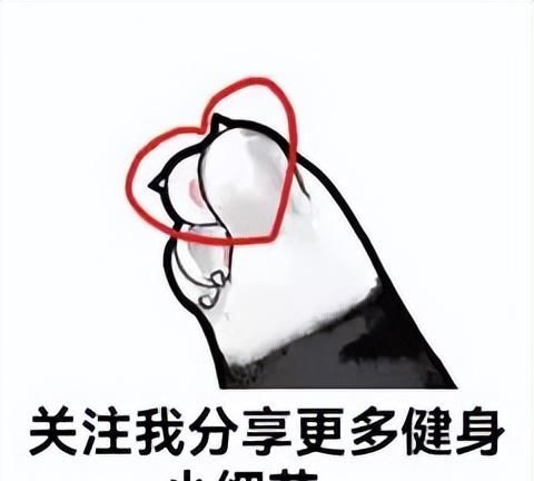 健身房，器械篇——背