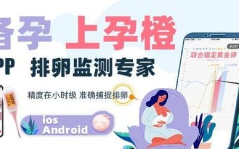 备孕期间吃什么好(备孕期间吃什么最佳)