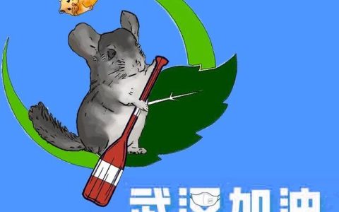龙猫疾病全集(龙猫常见的十大疾病)