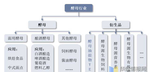 2022年酵母抽提物市场竞争格局、重点企业经营情况及行业发展趋势