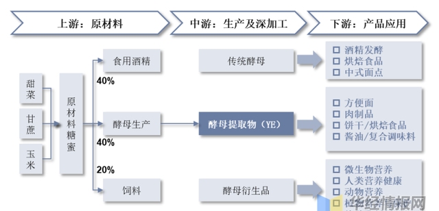 2022年酵母抽提物市场竞争格局、重点企业经营情况及行业发展趋势