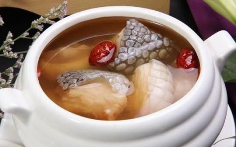 鳄鱼如何煲汤