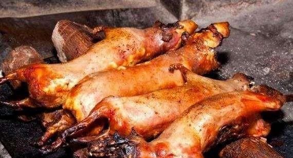 兔子肉有什么功效和作用(兔子肉炖汤做法功效)图2