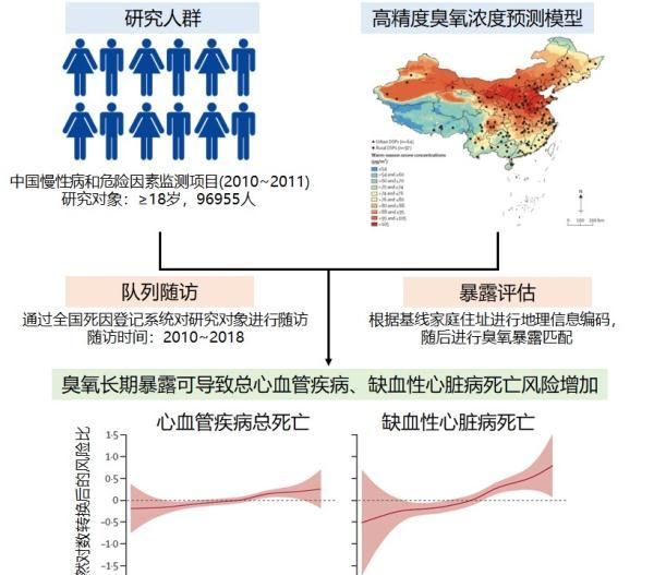 臭氧长期暴露可引起心血管疾病死亡风险增加