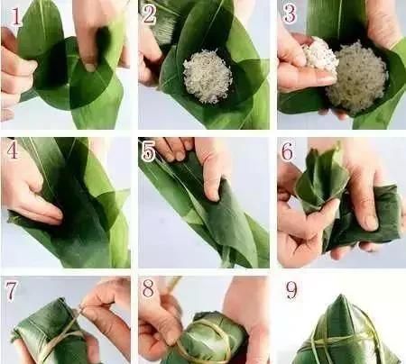 包粽子教程三角粽慢动作(芦苇叶包三角粽教程)图2