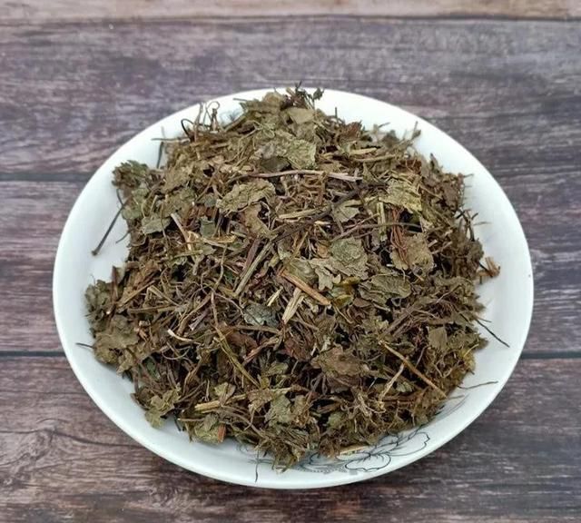 每日一味抗癌中药——连钱草，清热解毒功效好，临床用于多种肿瘤