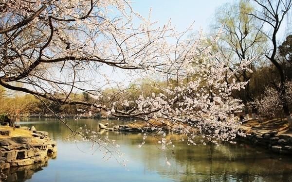 《三月桃花水》春天的河流有什么特点和特点图1