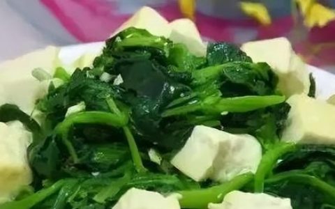 菠菜豆腐能一起吃吗(菠菜做法)