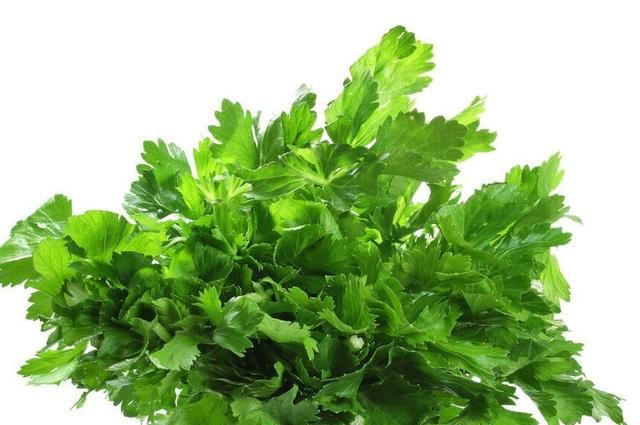 怎样做凉拌香菜(凉拌芹菜的做法 大厨)图1