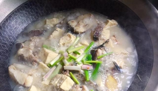 如何炖好鱼汤呢(鱼汤的正确炖法)图3