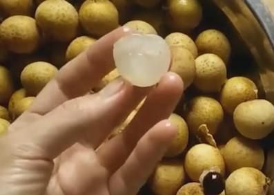 桂圆到底是不是龙眼(桂圆与龙眼有何区别)图4