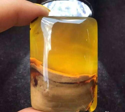 紫苏叶有什么营养(紫苏叶营养价值与功效与作用)图2