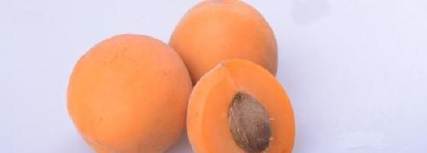 杏仁怎样种植