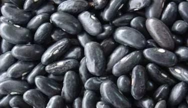黑豆和黑芸豆的区别有哪些,黑芸豆跟黑豆有啥区别图2