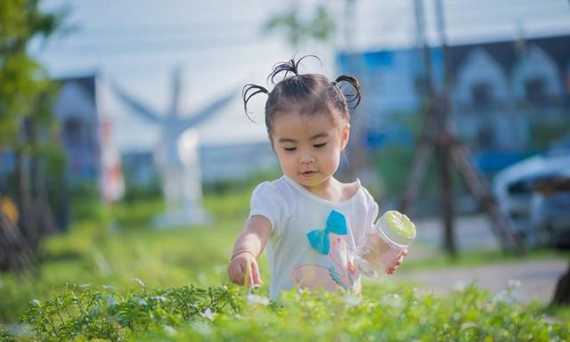 药师释药——山药、黄连、大黄在儿科中的应用