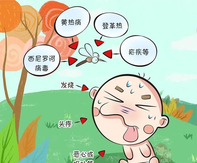 总是被咬到包满身，蚊子为什么咬宝宝？能涂什么不能涂什么？ 