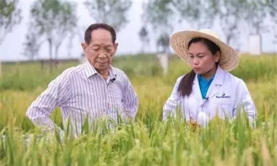 探讨下杂交水稻跟转基因水稻的区别，懂得人请留言