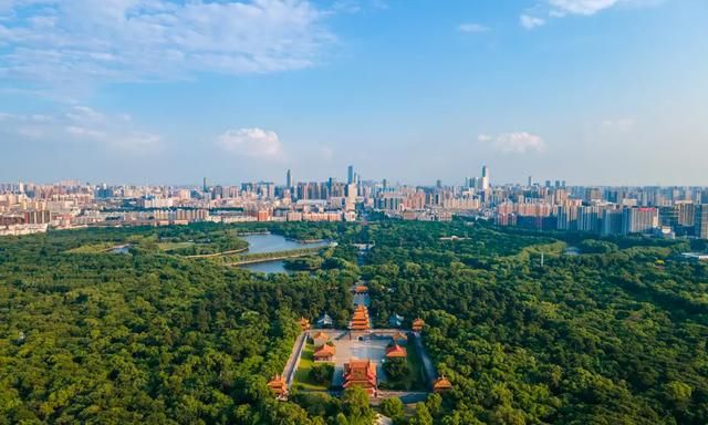 沈阳有多大,沈阳有多大全国第几大图5