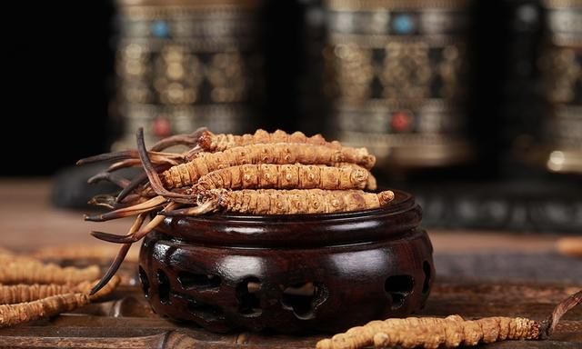 什么是冬虫夏草,什么是冬虫夏草食用方法图1