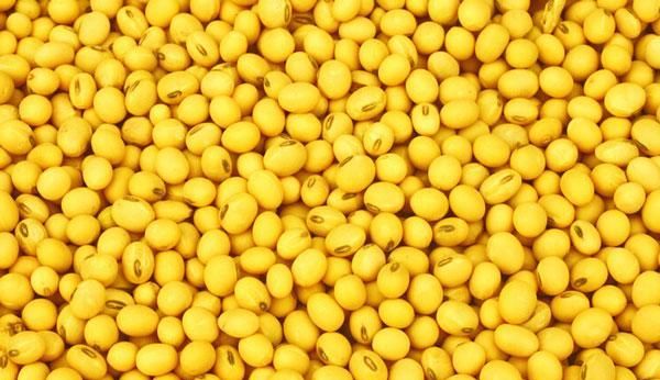 豆花是怎么点的(豆花用醋怎么点)图5