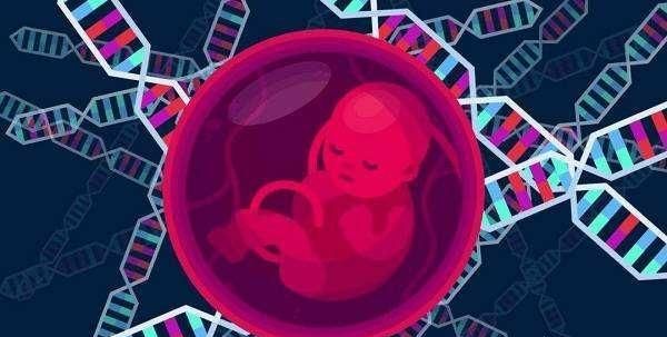 孩子智力低,如何提高宝宝的智力发育图6