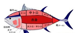 日本人评价金枪鱼刺身(金枪鱼刺身是日本传过来的吗)图3