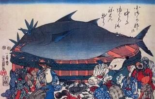 日本人评价金枪鱼刺身(金枪鱼刺身是日本传过来的吗)图4
