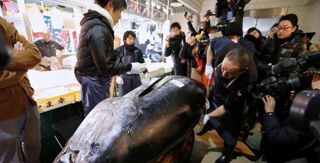 日本人评价金枪鱼刺身(金枪鱼刺身是日本传过来的吗)图15