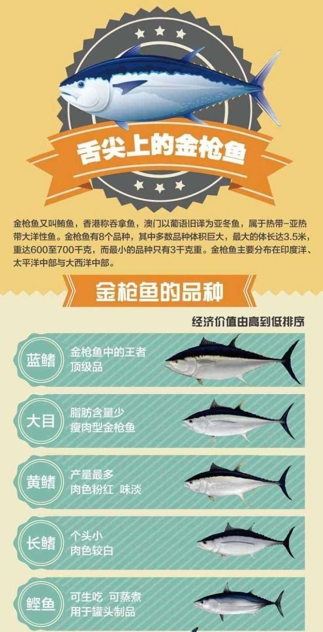 日本人评价金枪鱼刺身(金枪鱼刺身是日本传过来的吗)图18