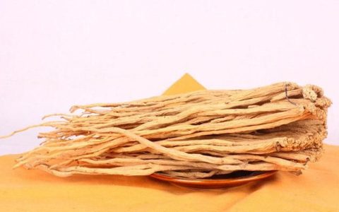 当归的功效及作用与禁忌,当归的作用功效及禁忌
