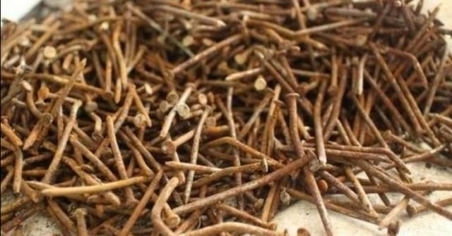 养富贵竹，不能只简单的换水，给它加3种料，长势旺盛
