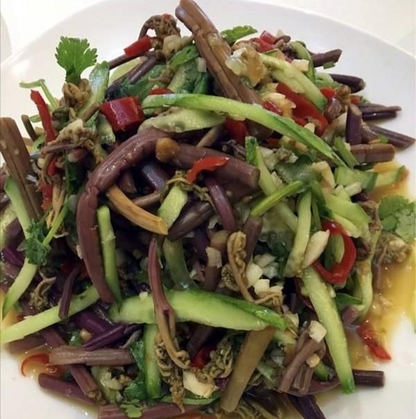 蕨菜的做法有哪些(蕨菜几种做法)图3