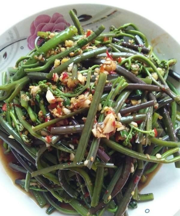 蕨菜的做法有哪些(蕨菜几种做法)图5
