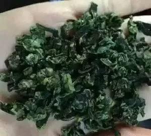 铁观音茶树以及铁观音的功效与作用