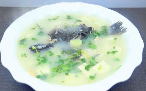 什么鱼炖鱼汤好喝又营养(怎样做出来的鲫鱼汤好喝)