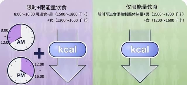 不挨饿，顿顿有肉，一周照样瘦5斤！我的带饭清单