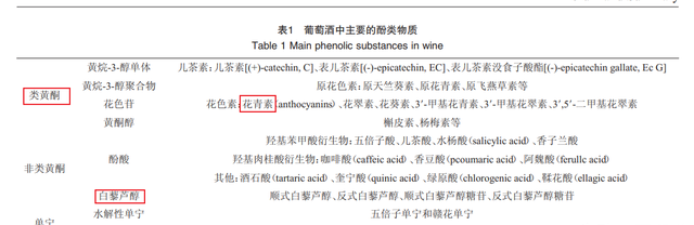 红酒可以美容养颜？利于心血管健康？是谣言还是真相？