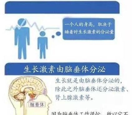 专家：身高不仅源自基因，孩子还能再往上窜很多，家长别不当回事