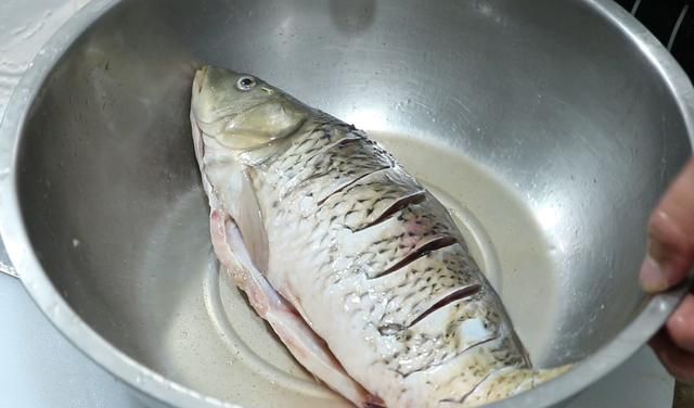 这才是鲤鱼最好吃的做法，先清蒸再凉拌，原滋原味，营养丰富