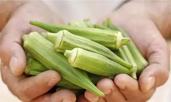 秋葵究竟是一种什么样的蔬菜 它都有哪些功效