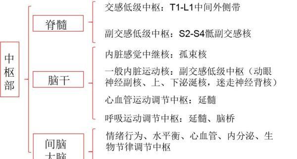 忽冷忽热 心跳加速……这个脑出血患者怎么了？｜神经档案室