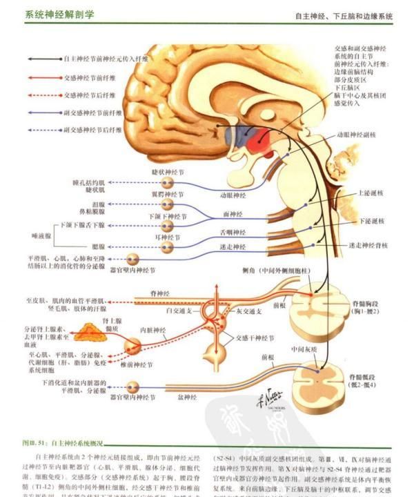 忽冷忽热 心跳加速……这个脑出血患者怎么了？｜神经档案室