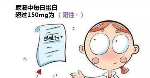 尿蛋白高如何解决,尿蛋白有点高怎么解决图2