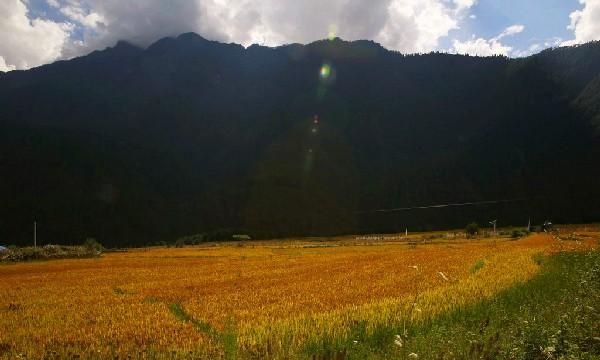 林芝的秋天有多美丽(林芝的秋天最美的景色)图1