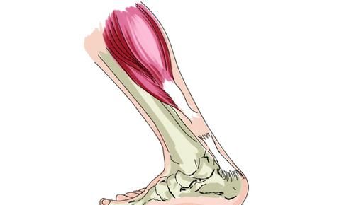 了解跟腱，健康、快乐跑步