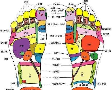 足疗穴位图 脚底的穴位图及功能